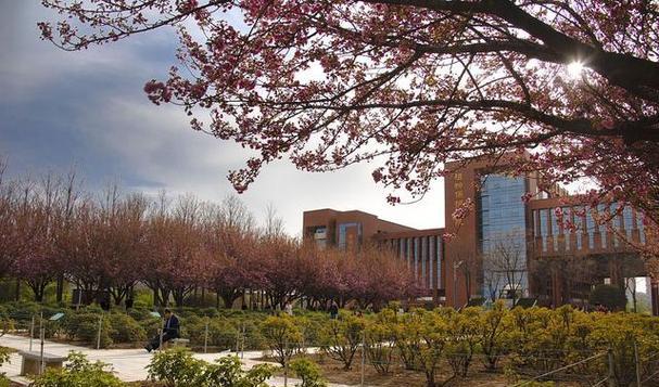 园艺学报是什么水平_园艺学报_园艺学报质量怎么样