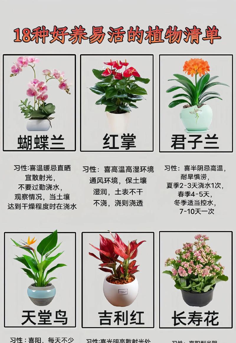 家庭园艺指南：7个养花小技巧，让花期延长2倍