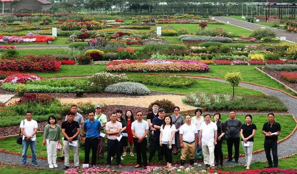 家庭园艺_园艺家庭的出身背景_园艺家庭农场