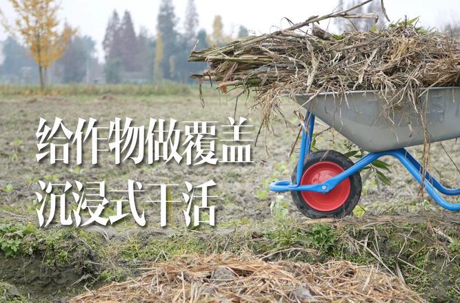 园艺技术专业适合找什么工作_园艺技术_园艺技术专业主要学什么