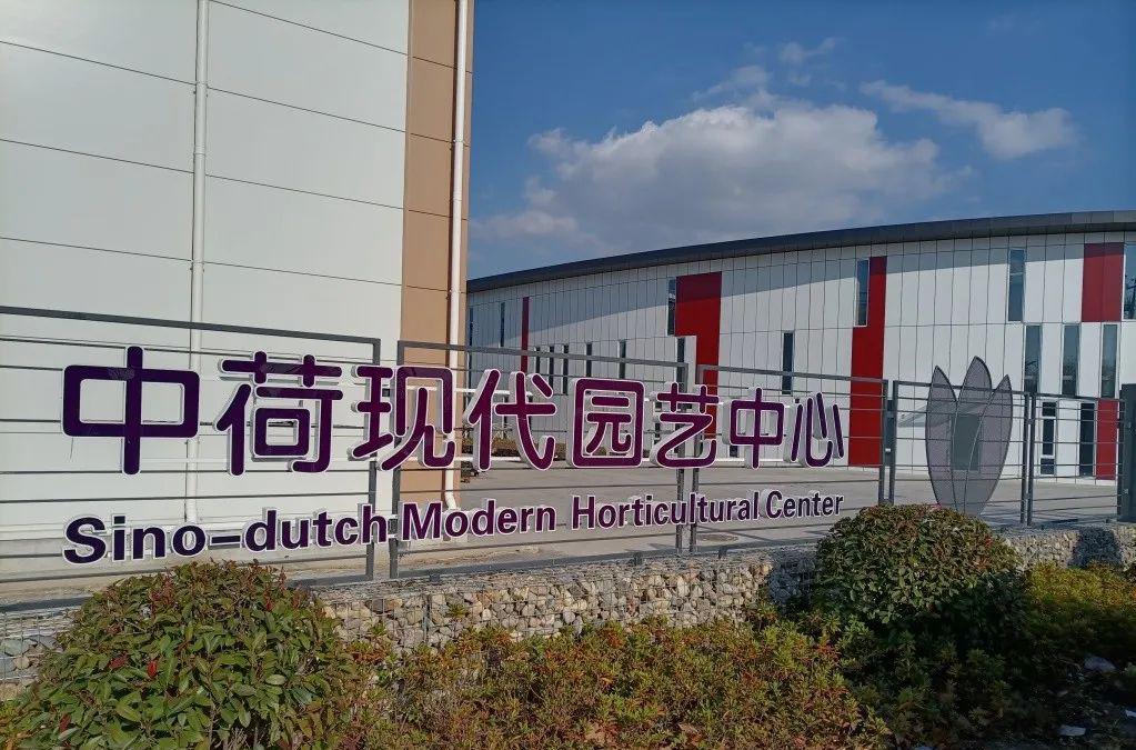中荷现代园艺中心初见“端倪”