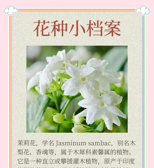 六百余份种质资源已汇集南京，组成