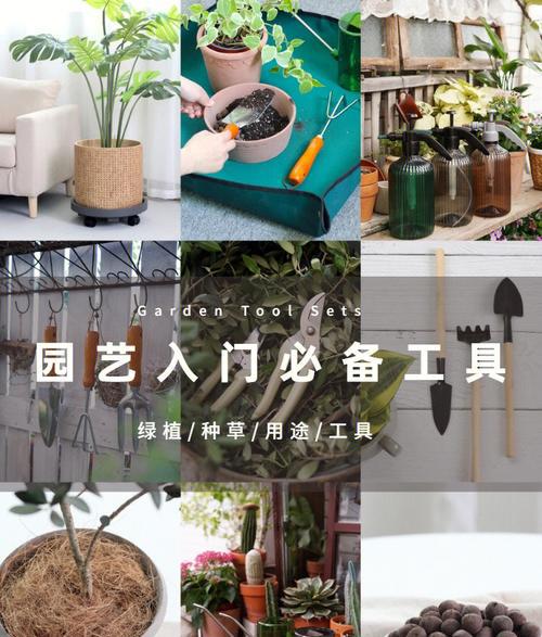 园艺工具清洁与保养指南