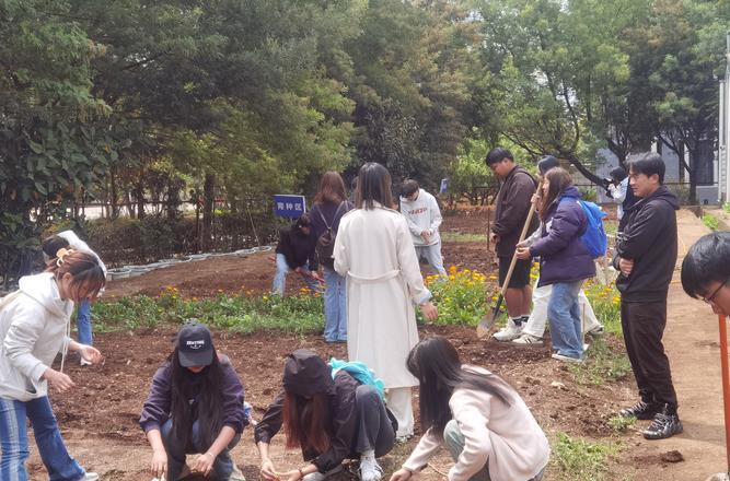 想了解园艺技术这个专业的学弟学妹们可以进来看一下