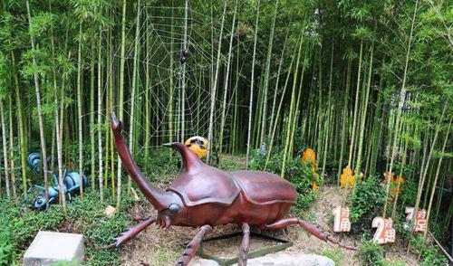 钱江新城里的世外桃源、300多个篮球场大的昆虫王国……“六一”这么玩才过瘾