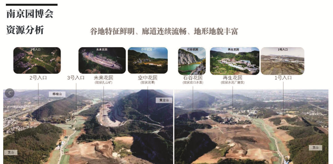 园艺景观树_园艺景观_园艺景观石定制