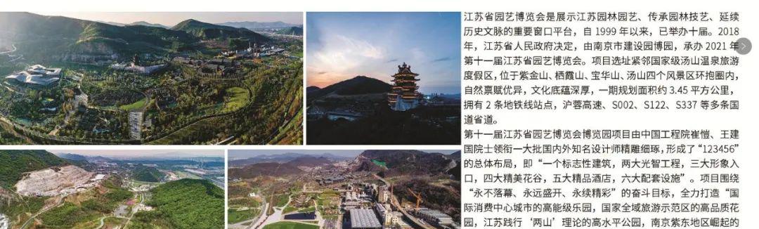 园艺景观石定制_园艺景观树_园艺景观