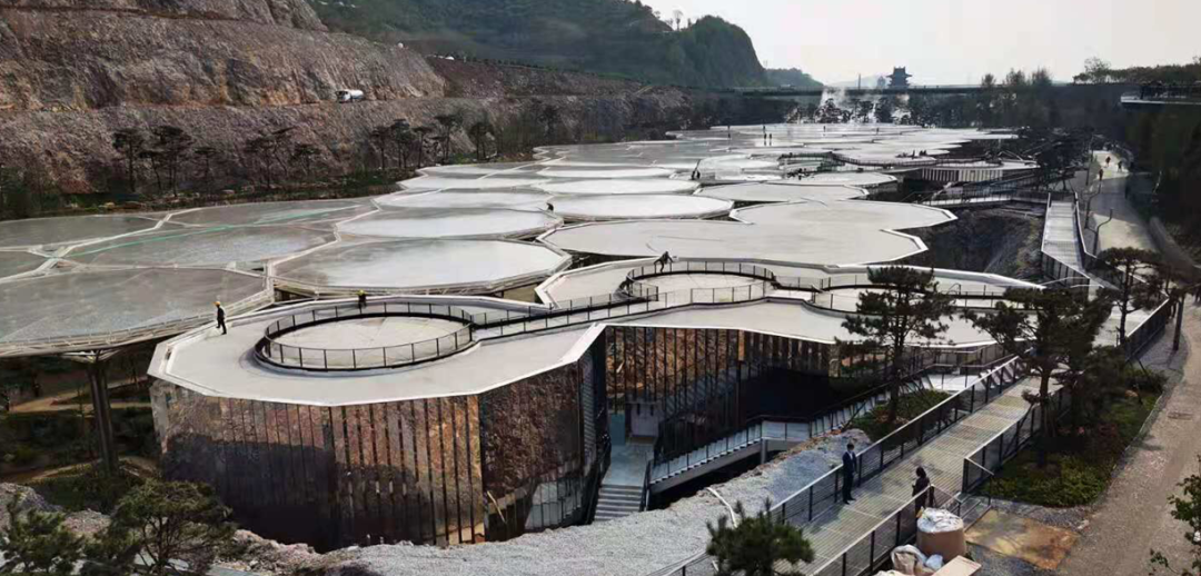 园艺景观石定制_园艺景观_园艺景观树