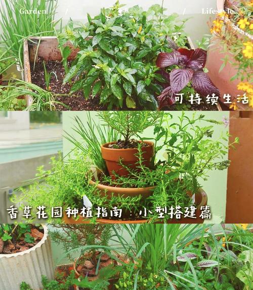 园艺家庭的出身背景_家庭园艺类型_家庭园艺