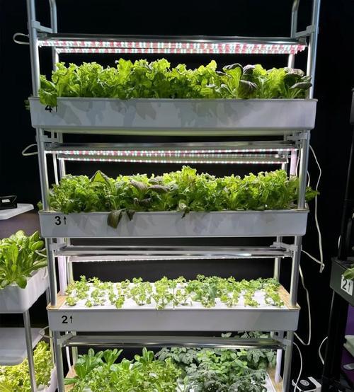 园艺工具批发市场_园艺工具套装_园艺工具