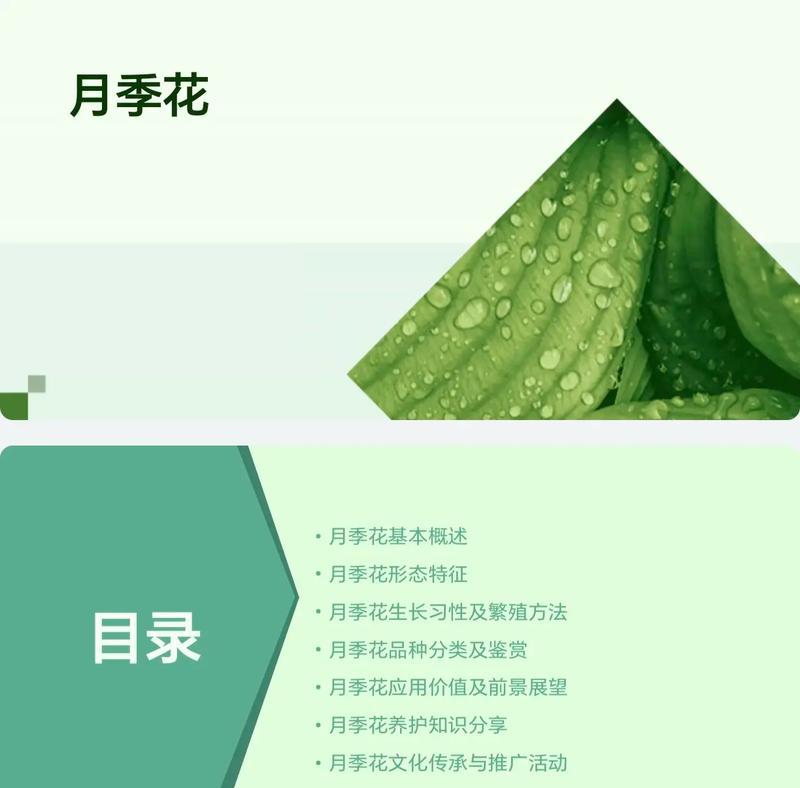 花卉园艺取名大全_花卉园艺工是干嘛的_园艺花卉