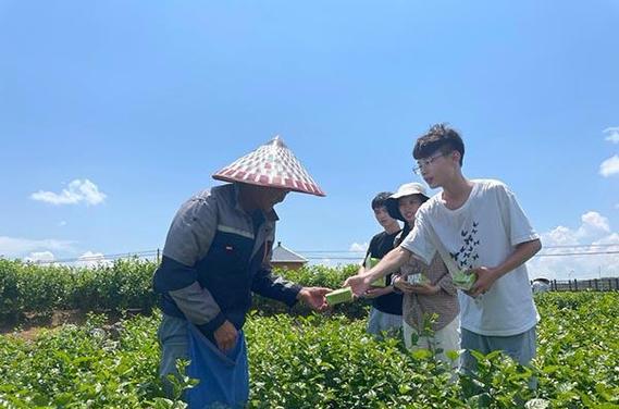 园艺专业_园艺专业就业前景和就业方向_园艺专业学什么