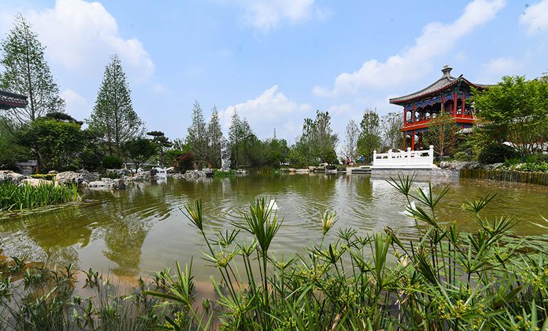 园艺博览会_园艺博览会在哪_园艺博览会2020