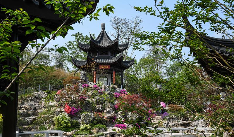 园艺博览会在哪_园艺博览会2020_园艺博览会
