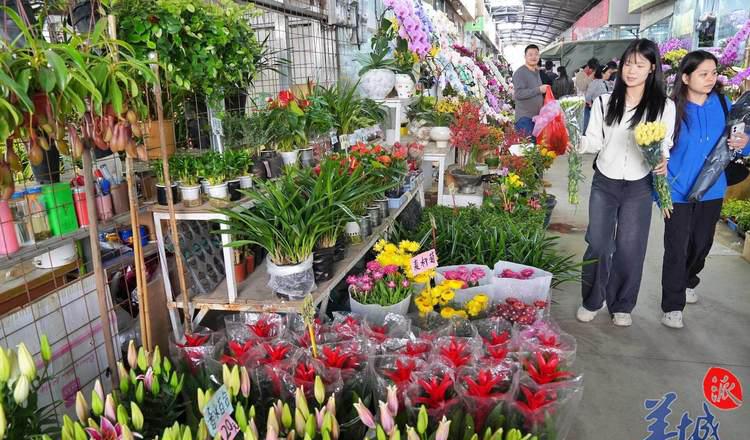 广州市荔湾区鹤洞花仙园艺用品经营部