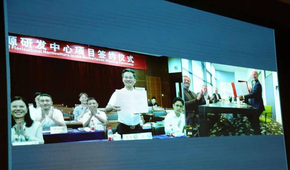 园艺公司_园艺公司经营范围_园艺公司名称