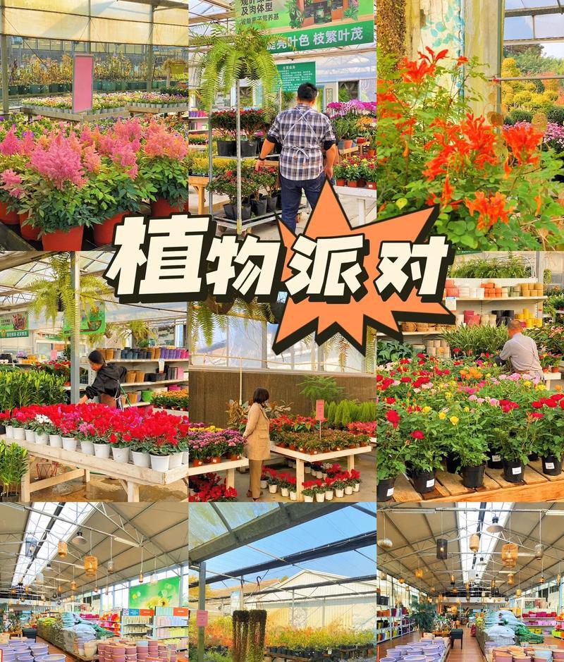 家庭园艺_园艺家庭农场_园艺家庭农场概念是什么