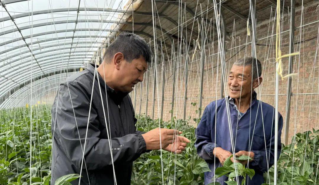 园艺技术是干什么的_园艺技术专业_园艺技术