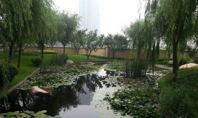 园艺景观_园艺景观网_园艺景观设计