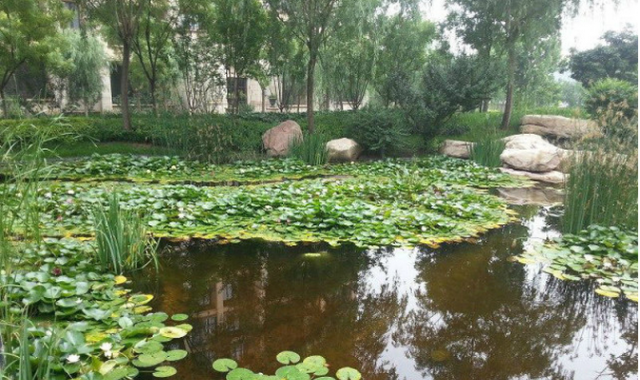 园艺景观_园艺景观网_园艺景观设计