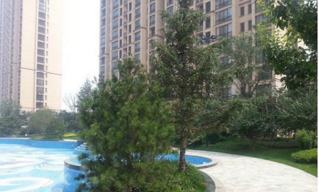 园艺景观设计_园艺景观网_园艺景观