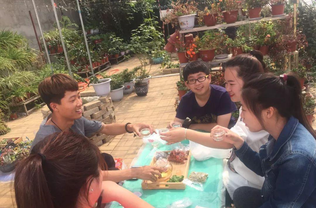 园艺技术专升本_园艺技术_园艺技术专业主要学什么