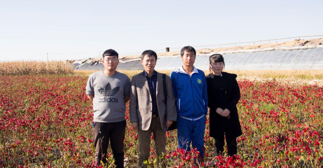 园艺技术专升本_园艺技术专业主要学什么_园艺技术