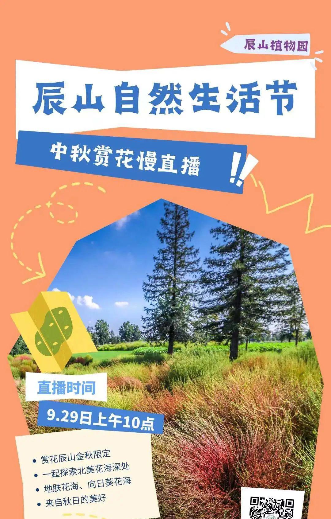 园艺景观石批发_园艺景观设计_园艺景观