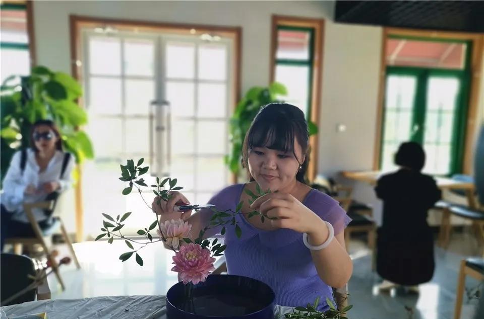 趣味园艺是什么_趣味园艺_趣味园艺大学生选修课