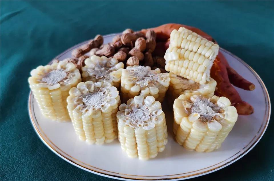 趣味园艺_趣味园艺大学生选修课_趣味园艺是什么