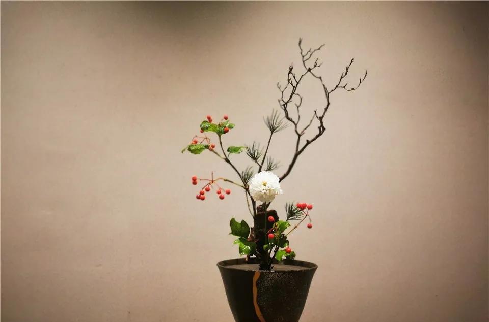 趣味园艺大学生选修课_趣味园艺_趣味园艺是什么