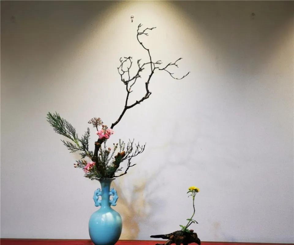 趣味园艺是什么_趣味园艺_趣味园艺大学生选修课