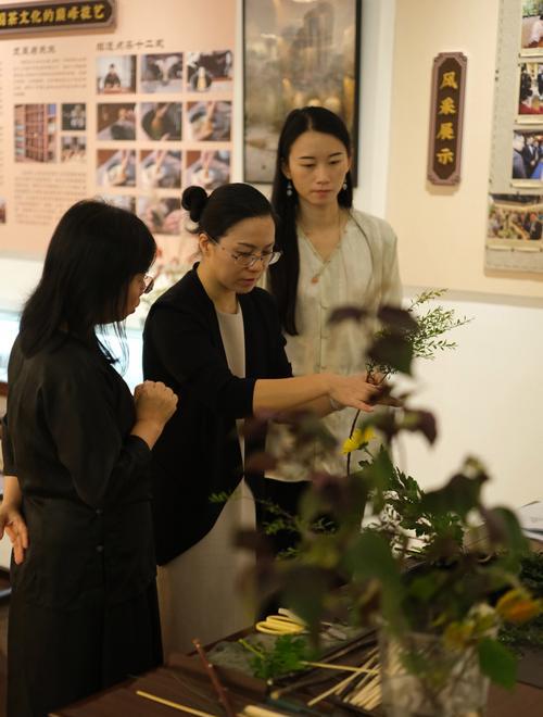 趣味园艺_趣味园艺大学生选修课_趣味园艺是什么
