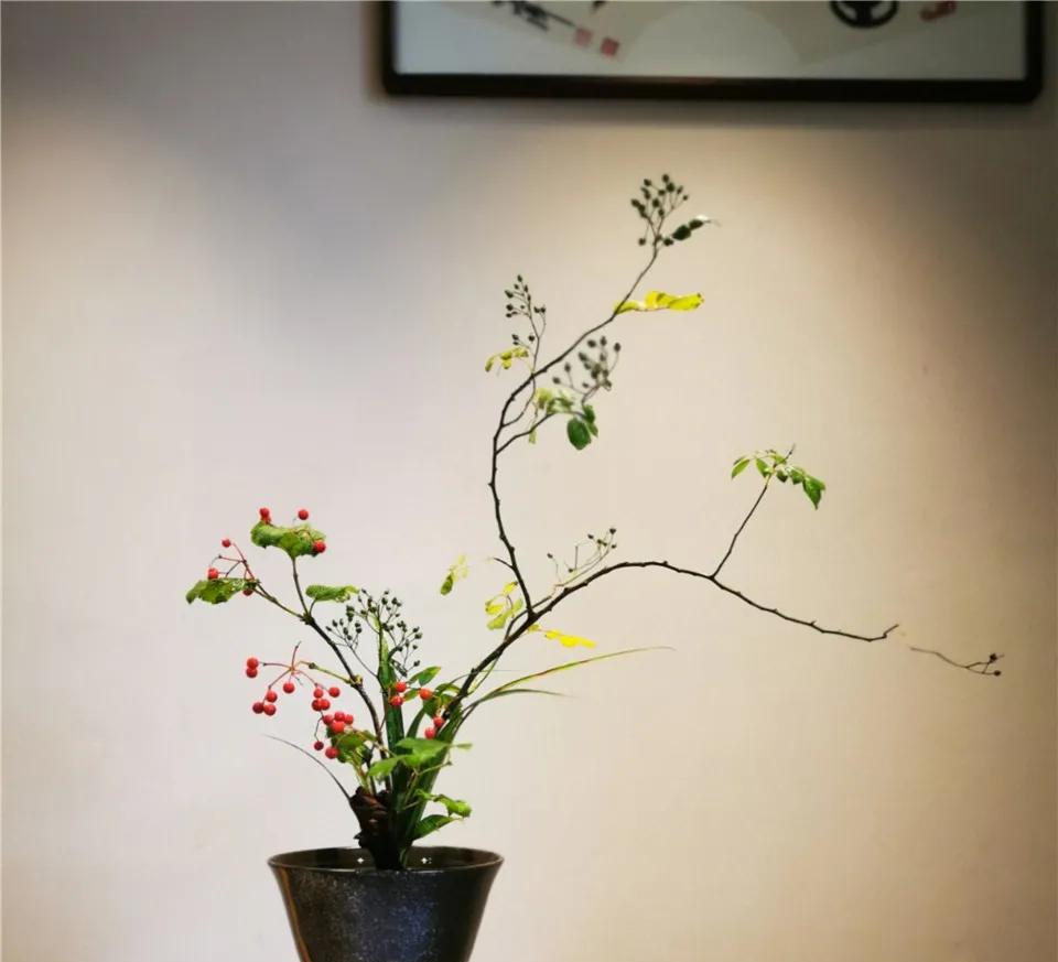 趣味园艺是什么_趣味园艺大学生选修课_趣味园艺