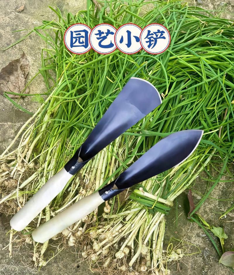 园艺工具套装_园艺工具批发市场_园艺工具