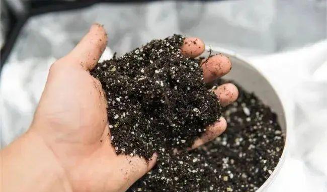 园艺工具套装_园艺工具_园艺工具批发市场