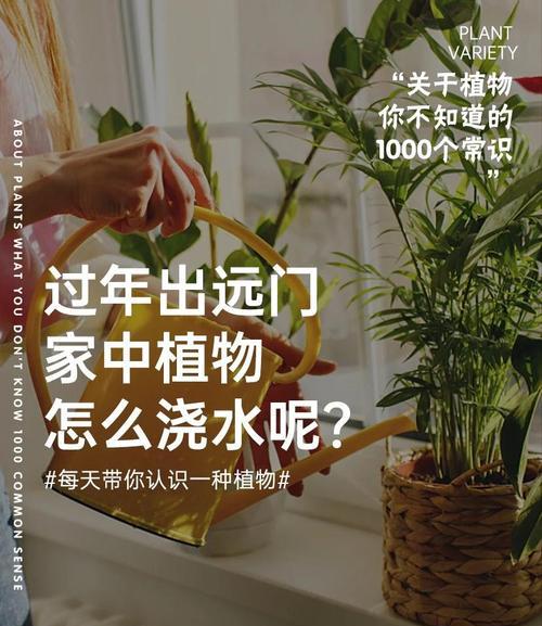 园艺工具_园艺工具套装_园艺工具批发市场