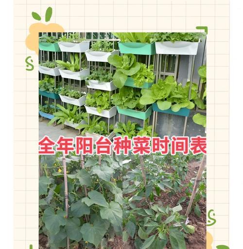 园艺家庭农场_家庭园艺_园艺家庭的出身背景