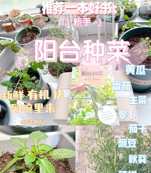 家庭园艺_园艺家庭农场_园艺家庭的出身背景