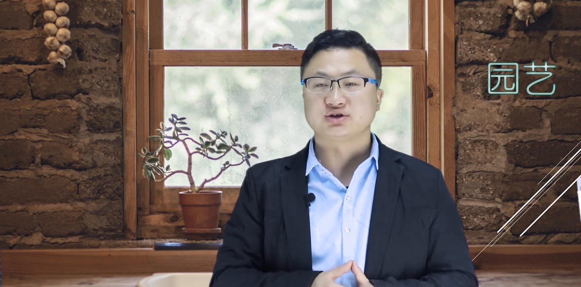园艺专业就业前景和就业方向_园艺专业_园艺专业大学排名