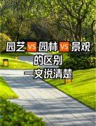 园艺、园林、景观的区别在哪里？一