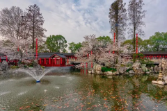 武汉大观园的夏季园艺景观如何引人